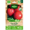 Tomate cuor di bue bio Vilmorin