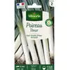 Poireau tenor 'obtention vilmorin'