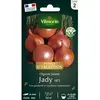 OIGNON JAUNE JADY F1 VILMORIN