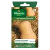 VILMORIN Courge Waltham Butternut