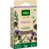 Vilmorin - Graines de Phacélie BIO, sachet de 60 grs