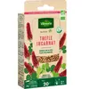 Vilmorin - Engrais vert trèfle incarnat - bio - Petit modèle