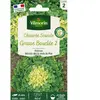 VILMORIN Chicorée Scarole Grosse Bouclée 2