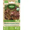 Laitue pommée merveille des 4 saisons bio Vilmorin