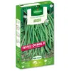 HARICOT ARGUS +ECHANTILLON HARICOT OXINEL 2 VILMORIN