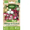 VILMORIN Sachet de graines Radis Mélange de Couleurs BIO