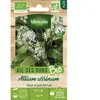 Vilmorin Ail Des Ours bio
