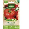 Tomate Marmande - bio