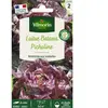 Laitue picholine Vilmorin