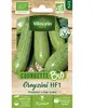 Courgette greyzi bio vert clair Vilmorin