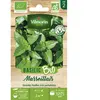 Basilic marseillais bio Vilmorin