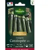 Courgette Cassiopée HF1 - Graines d'Exception | Vilmorin Jardin