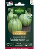 Courgette ronde Boldenice HF1 Vilmorin