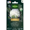 VILMORIN Chou-fleur Clovis
