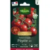 Tomate grappe pépite HF1 Vilmorin