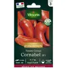 Tomate cornue Cornabel HF1 Vilmorin