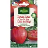 Tomate Cuor Di Bue Vilmorin