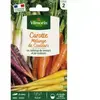 Carotte mélange de couleurs Vilmorin