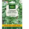 Epinard Géant d'Hiver