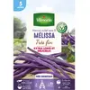 Vilmorin - Haricot Grimpant Violet Mélissa - 5 m