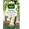 Poireau jaune gros du Poitou Vilmorin