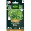 Persil à feuilles type géant d'Italie Lion Vilmorin