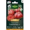 Tomate côtelée Lanterna HF1 Vilmorin