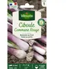 VILMORIN Ciboule Commune Rouge