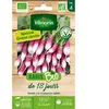 Radis de 18 Jours Bio GM Vilmorin