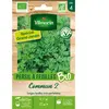 Persil Commun 2 Bio GM Vilmorin