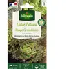 Laitue Rouge Grenobloise Vilmorin