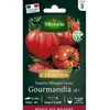 VILMORIN Tomate Gourmandia F1 Vilmorin série 3