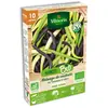 Vilmorin Haricot Nain en Mélange de Couleurs - 10M - bio