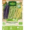 Haricot rame Mélange de Couleurs bio Vilmorin