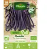 Haricot Blauhilde bio Vilmorin
