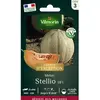 Melon Stellio HF1 Vilmorin