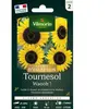 Tournesol Waooh Vilmorin