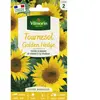 Tournesol Golden Hedge Vilmorin