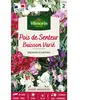 Pois de Senteur Buisson Varié Vilmorin