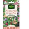 Pois de Senteur Little Sweetheart Vilmorin