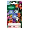 VILMORIN Mélange graines de fleurs grimpantes