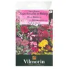 Vilmorin - Sachet graines Fleurs de balcon annuelle en mélange