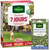 Gazon 7 jours - 1 kg + Gazon Japonais - 4 m² - Mélange de fleurs Vilmo...