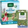 Gazon Ultra Résistant - Label Rouge - 3 kg + Gazon Japonais - 4 m² - M...
