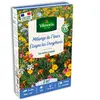 Eloigne les Doryphores - 7 m² - Mélange de fleurs | Vilmorin Jardin
