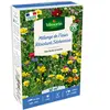 Fleurs Terrain Sec - 50 m² - Mélange de fleurs | Vilmorin Jardin