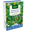 Allées et Bordures - 50 m² - Mélange de fleurs | Vilmorin Jardin