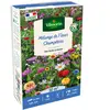 Fleurs Champêtres - 50 m² - Mélange de fleurs | Vilmorin Jardin