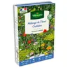 Fleurs Oubliées - 25 m² - Mélange de fleurs | Vilmorin Jardin