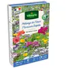 Floraison Rapide - 25 m² - Mélange de fleurs | Vilmorin Jardin